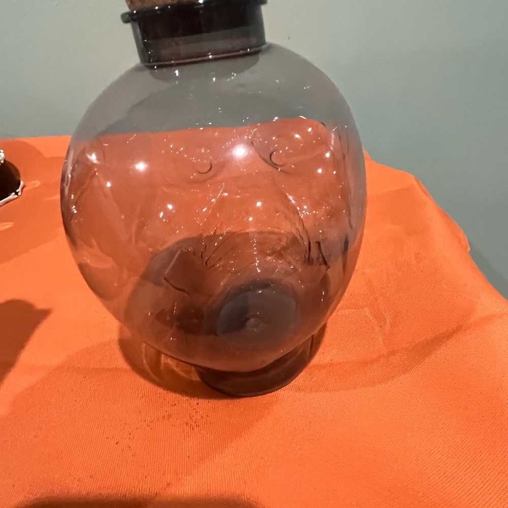 6/$25 Mystic Gray & Orange Plastic Skull with Cork Lid Set - Picture 5 of 15